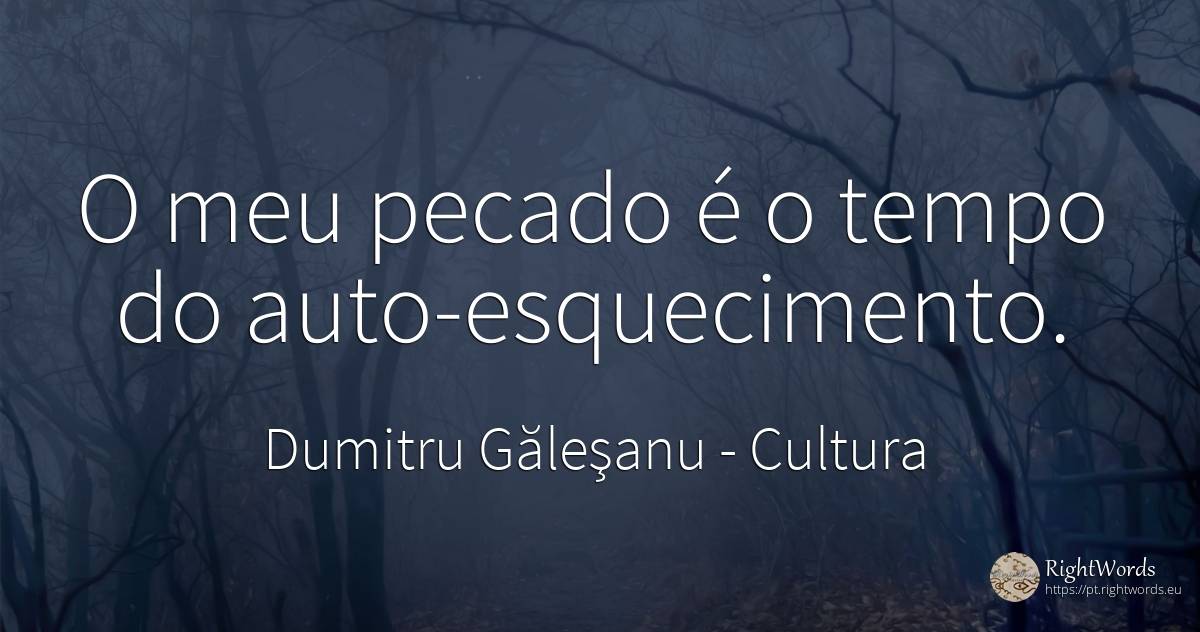 O meu pecado é o tempo do auto-esquecimento. - Dumitru Găleşanu, citação sobre cultura