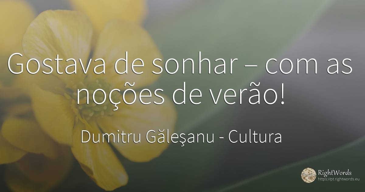 Gostava de sonhar – com as noções de verão! - Dumitru Găleşanu, citação sobre cultura