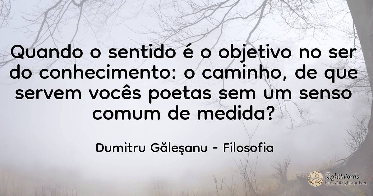 Quando o sentido é o objetivo no ser do conhecimento: o... - Dumitru Găleşanu, citação sobre filosofia