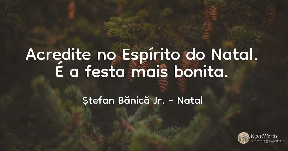 Acredite no Espírito do Natal. É a festa mais bonita. - Ştefan Bănică Jr., citação sobre natal