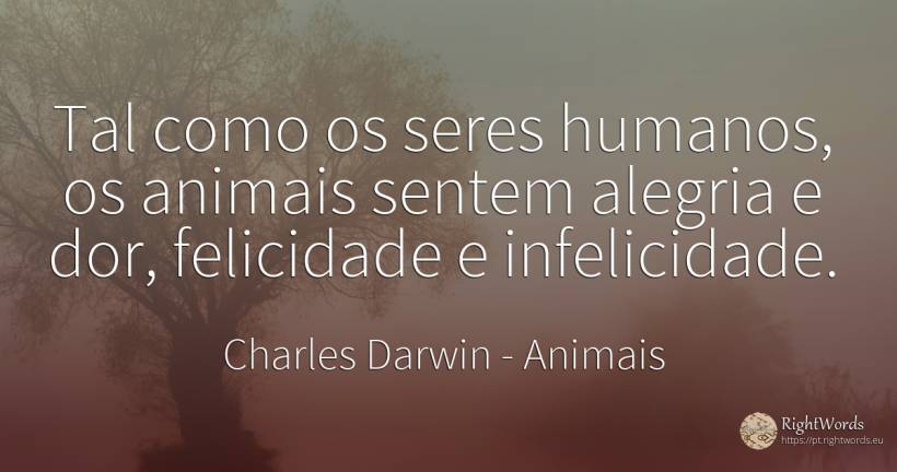 Tal como os seres humanos, os animais sentem alegria e... - Charles Darwin, citação sobre animais, infelicidade, alegria, pessoas, felicidade, dor