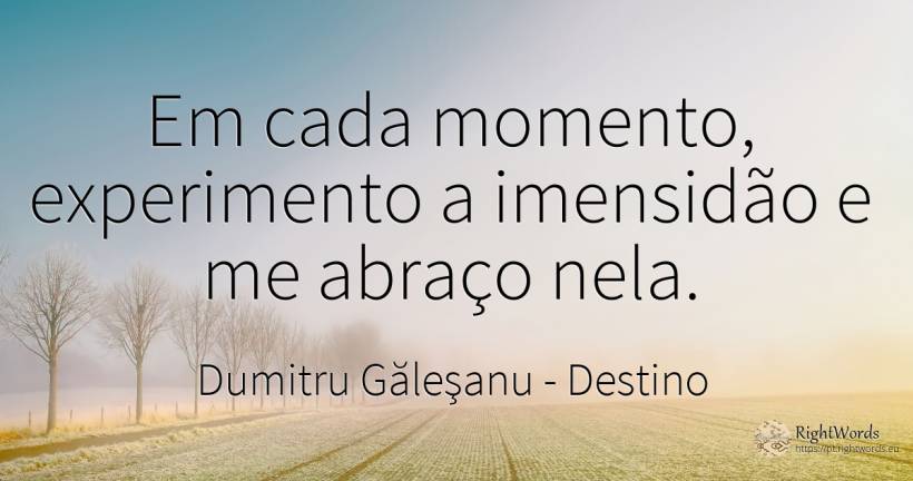 Em cada momento, experimento a imensidão e me abraço nela. - Dumitru Găleşanu, citação sobre destino