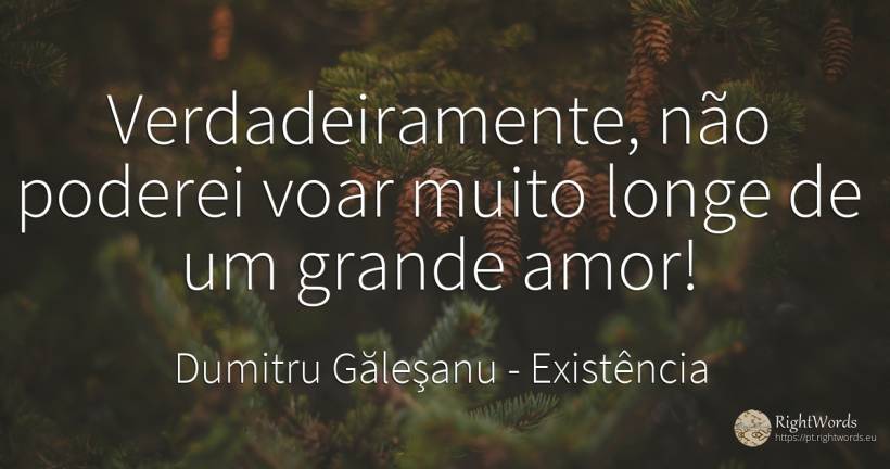 Verdadeiramente, não poderei voar muito longe de um... - Dumitru Găleşanu, citação sobre existência