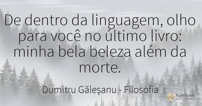 De dentro da linguagem, olho para você no último livro:... - Dumitru Găleşanu, citação sobre filosofia