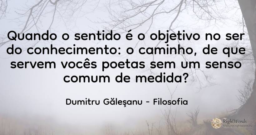 Quando o sentido é o objetivo no ser do conhecimento: o... - Dumitru Găleşanu, citação sobre filosofia