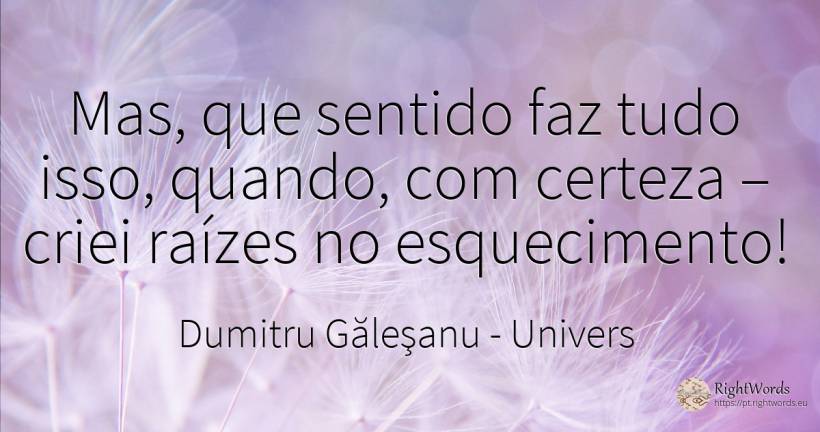 Mas, que sentido faz tudo isso, quando, com certeza –... - Dumitru Găleşanu, citação sobre univers