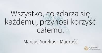 Wszystko, co zdarza się każdemu, przynosi korzyść całemu.