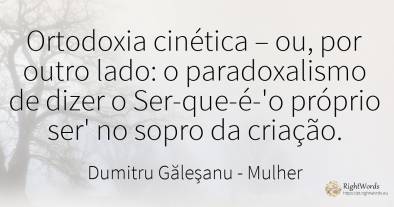 Ortodoxia cinética – ou, por outro lado: o paradoxalismo...