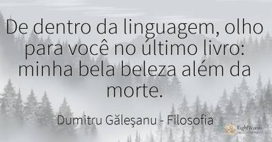 De dentro da linguagem, olho para você no último livro:...