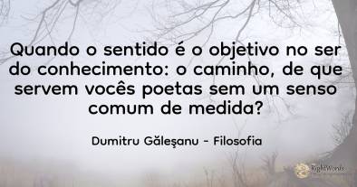 Quando o sentido é o objetivo no ser do conhecimento: o...